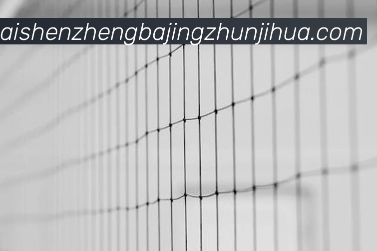 彩神争霸品牌故事